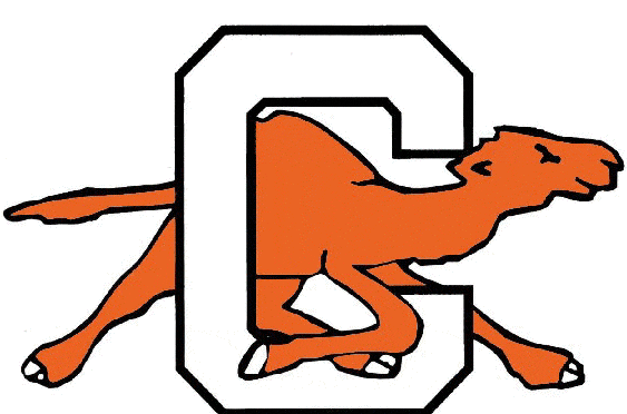 Campbell Fighting Camels 1993-2004 Alternate Logo diy fabric transfer